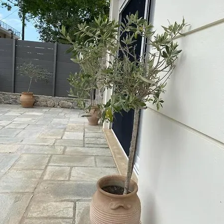 Oleander Agios Nikolaos Loutra Edipsou (Evia)